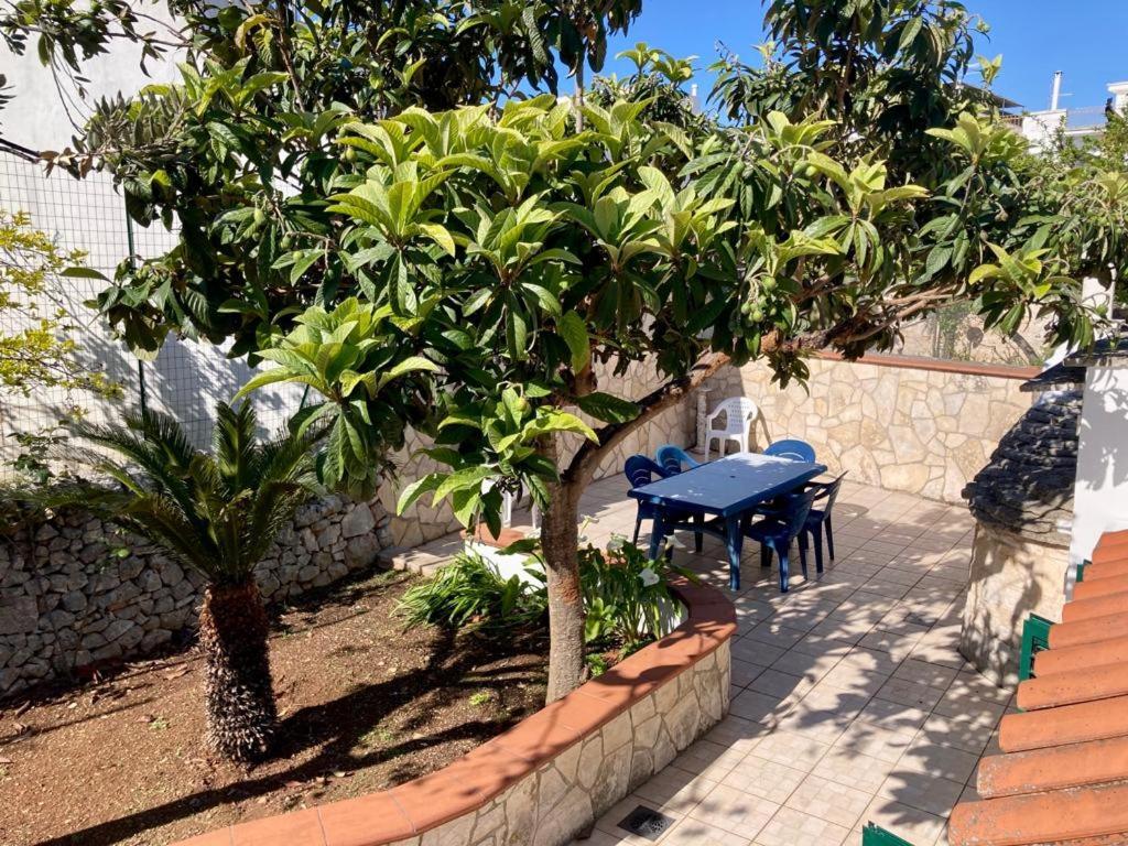 Trullo Il Nespolo Apartment Alberobello Ngoại thất bức ảnh